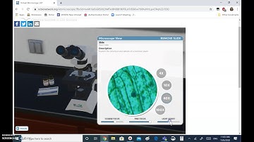 Tutorial on Virtual Microscope