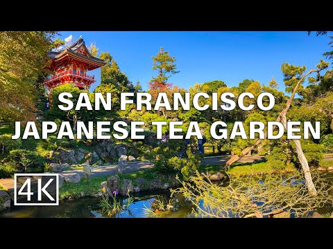 Japanese Tea Garden - San Francisco, California USA - Walking Tour [4K]