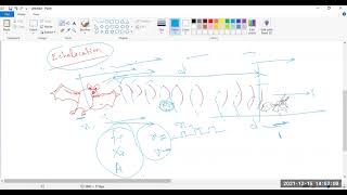 15Dec21 ELO710 Bat Optimization