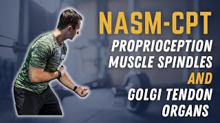 Secrets to Understanding Proprioception, Muscle Spindles & Golgi Tendon Organs || NASM-CPT Prep Resimi