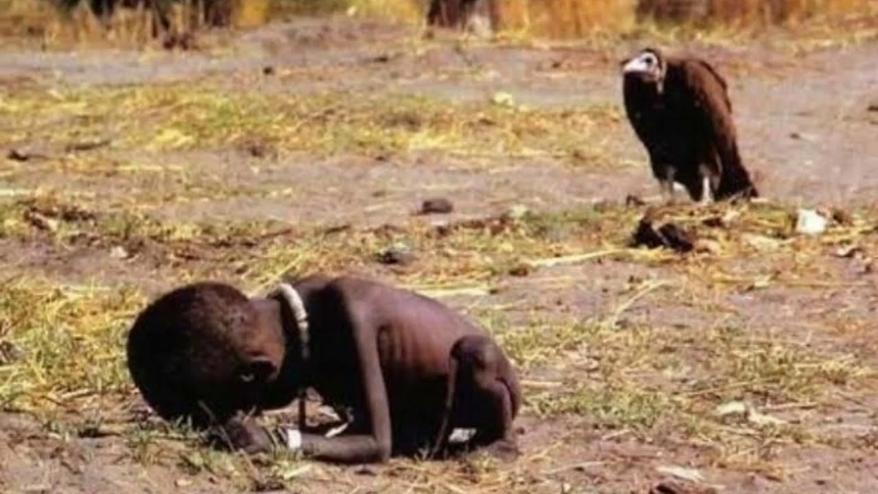 The vulture and little girl YouTube