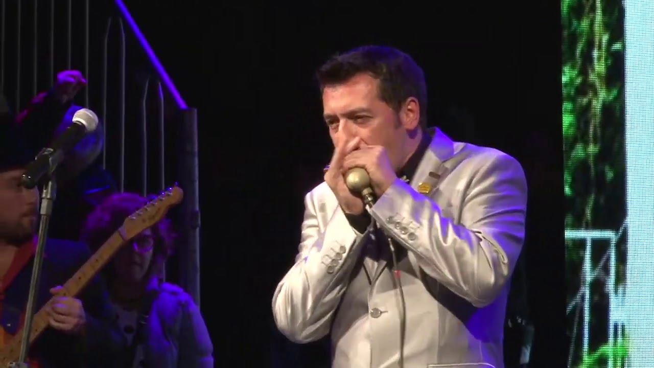 Ale Ravanello Blues Combo - Tell Me (DVD - Mississippi Delta Blues Festival - 2017)