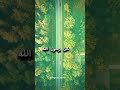 اغاني النجاح حمود الخضر اكسبلور ترند التخرج اغاني الجامعة اغاني المدرسة اغاني طلاب اغاني نجاح