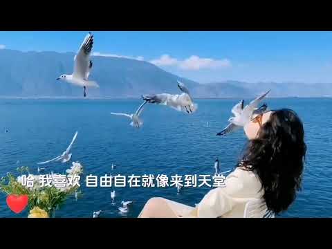 电影《七匹狼》中的插曲《我喜欢疯狂》张雨生演唱的一首励志歌曲