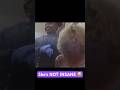 Old lady has meltdown over TRUMP 😂