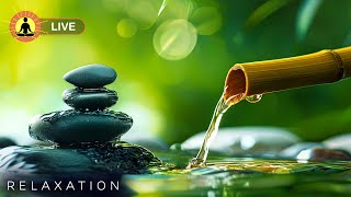 🔴 Zen Meditation Music 24/7, Relaxing Music, Sleep Music, Healing Meditation, Chakra, Flowing Water screenshot 5