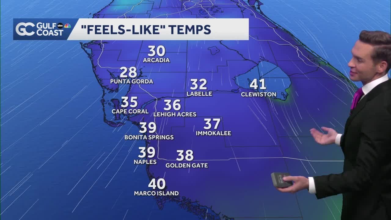 Gulf Coast freeze this week - YouTube