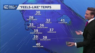 Gulf Coast Freeze This Week