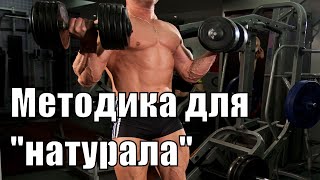 видео: Периодизация нагрузок в натуральном бодибилдинге Программа тренировки для натурала Поздравление с НГ картинка: Периодизация нагрузок в натуральном бодибилдинге Программа тренировки для натурала Поздравление с НГ