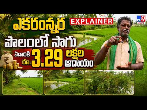 Explainer : ఎకరంన్నర పొలంలో సాగు ఏడాదికి రూ.3.29 లక్షల ఆదాయం | Smart Farming - TV9 - TV9