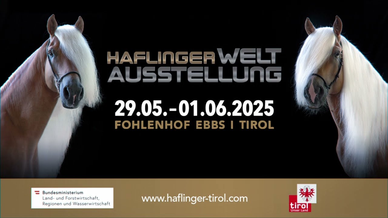 Haflinger Weltausstellung | 29.05. - 01.06.2025 | Fohlenhof Ebbs
