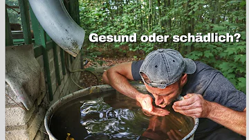 Sollte man Regenwasser filtern?