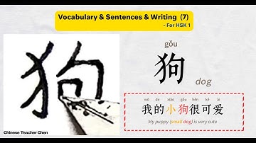 How to write Chinese? (7) | HSK 1: Essential nouns | Learn Chinese writing & vocabulary