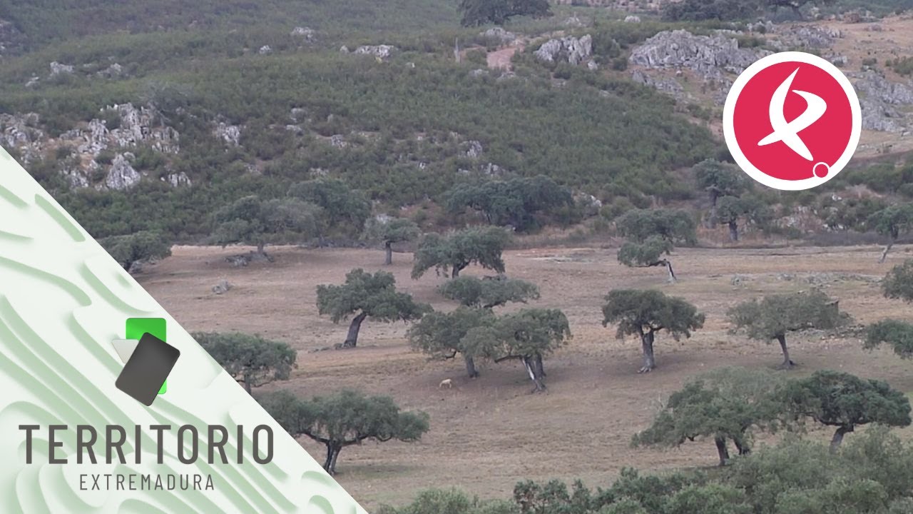 La finca comunal más grande de España está en Oliva de la Frontera | Territorio Extremadura