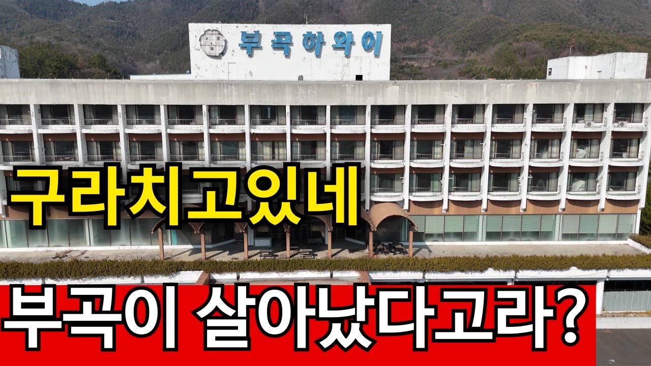 니가가라 부곡하와이! | 부킹 풀에 바글바글 미어터진다