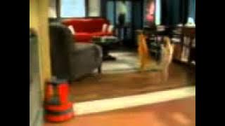 bili wid kashmiri song