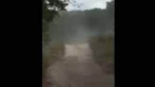 IMG951168