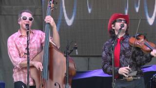 The Infamous Stringdusters | Free | Jam Cruise 14