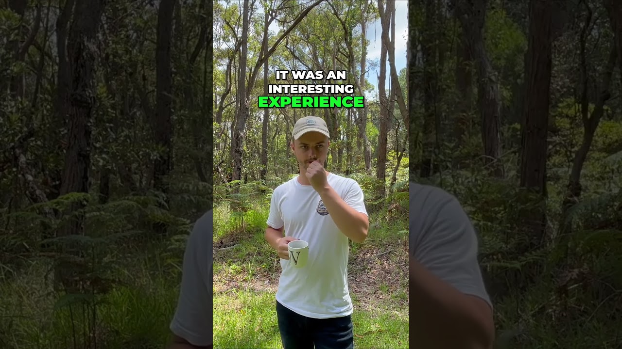 My First Motorcycle License Experience  Riding an Asian Honda CB 125E on the Road