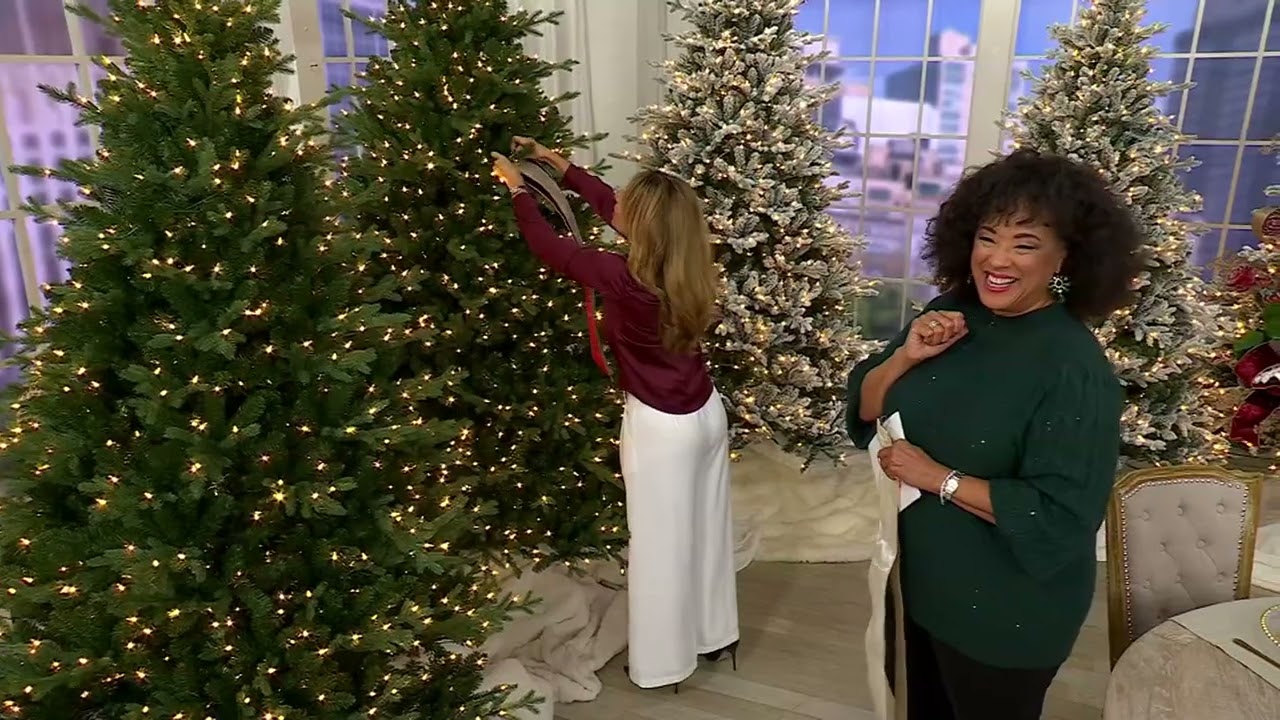 Simply Stunning Set of 10 Luxe Ribbon Wrap Set by Janine Graff on QVC