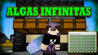 La MEJOR GRANJA de ALGAS 0 TICKS en Minecraft