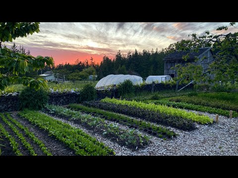 back to eden garden tour