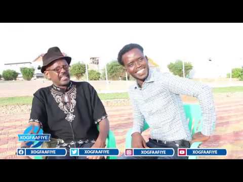 CALI AADAN OO WAREYSI QOSOL BADAN LA YEESHAY ABWAAN DHIIRANE DHAKWEYNE