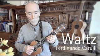 Waltz - Ferdinando Carulli (Ukulele Fingerstyle with Tab)