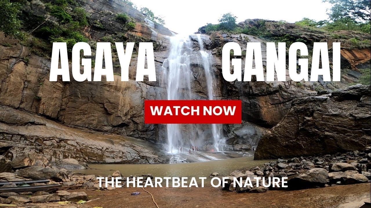 KOLLI MALAI AGAYA GANGAI WATER FALLS IN TAMIL - YouTube