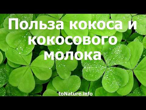 Видео: Разница между кокосовой водой и кокосовым молоком