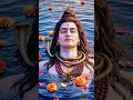 शिव आदि हे, शिव अन्त्य हे, शिव मोक्ष हे, शिव प्रेम हे।