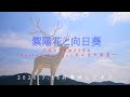 【リアコラ】CHAGE&amp;ASKA/紫陽花と向日葵【うたスキ動画】