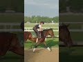 🇺🇸 Mornings at Saratoga with #Sovereignty, #Knightsbridge and #JoyofLife! #TeamGodolphin #shorts