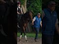 🇺🇸 Mornings at Saratoga with #Sovereignty, #Knightsbridge and #JoyofLife! #TeamGodolphin #shorts