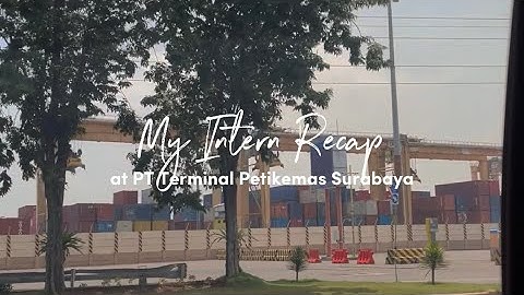 My Intern Recap at PT Terminal Petikemas Surabaya