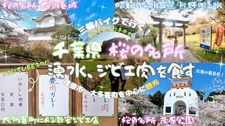 千葉県桜の名所、茂原公園、大多喜城を三輪バイクで周り、激安ジビエ店で猪と鹿のカレーを食べて来ました！
