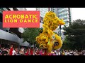 Acrobatic Lion Dance 2020 @ The Starling Mall |  Khuan Loke National Champion