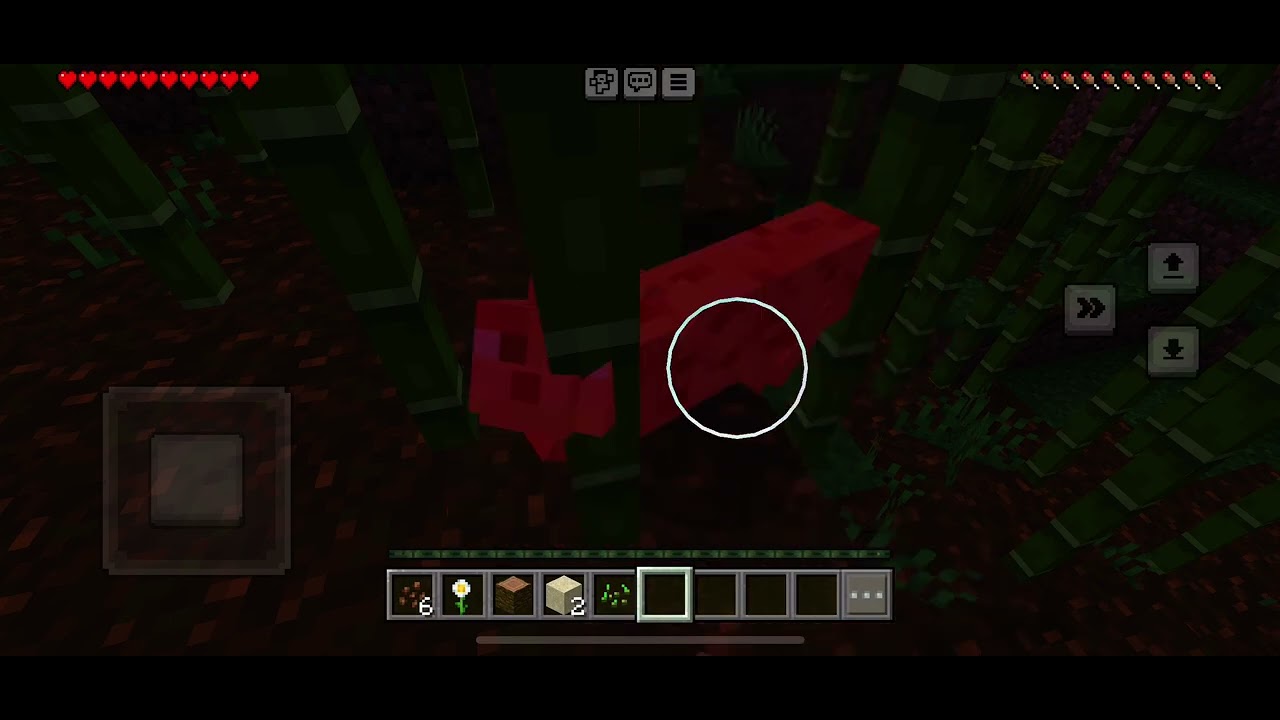 Minecraft the cheetah 🐆 - YouTube