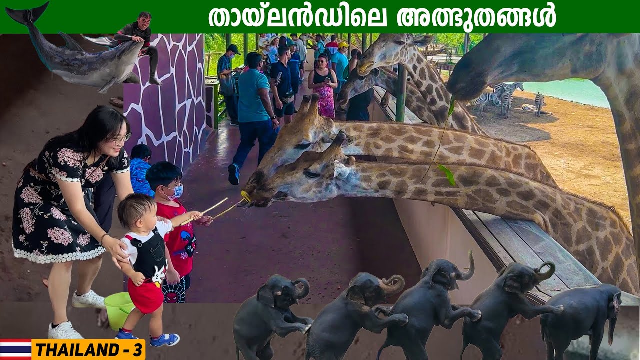 EP #3 - മൃഗങ്ങളുടെ ലോകത്തിലേക്ക് സ്വാഗതം | Thailand