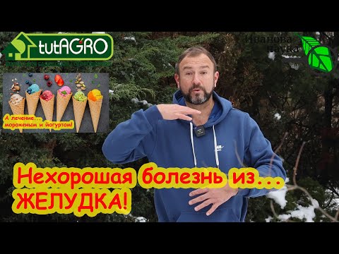 ЭТА БОЛЕЗНЬ ИДЁТ ИЗ ЖЕЛУДКА. Витамин U: не спешите глотать таблетки! Желудок лечится едой!