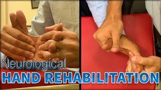 Hand Facilitation 2: Guidelines (Clinical Included)