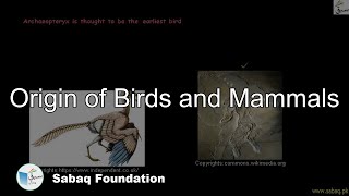 Origin of Birds and Mammals, Biology Lecture | Sabaq.pk