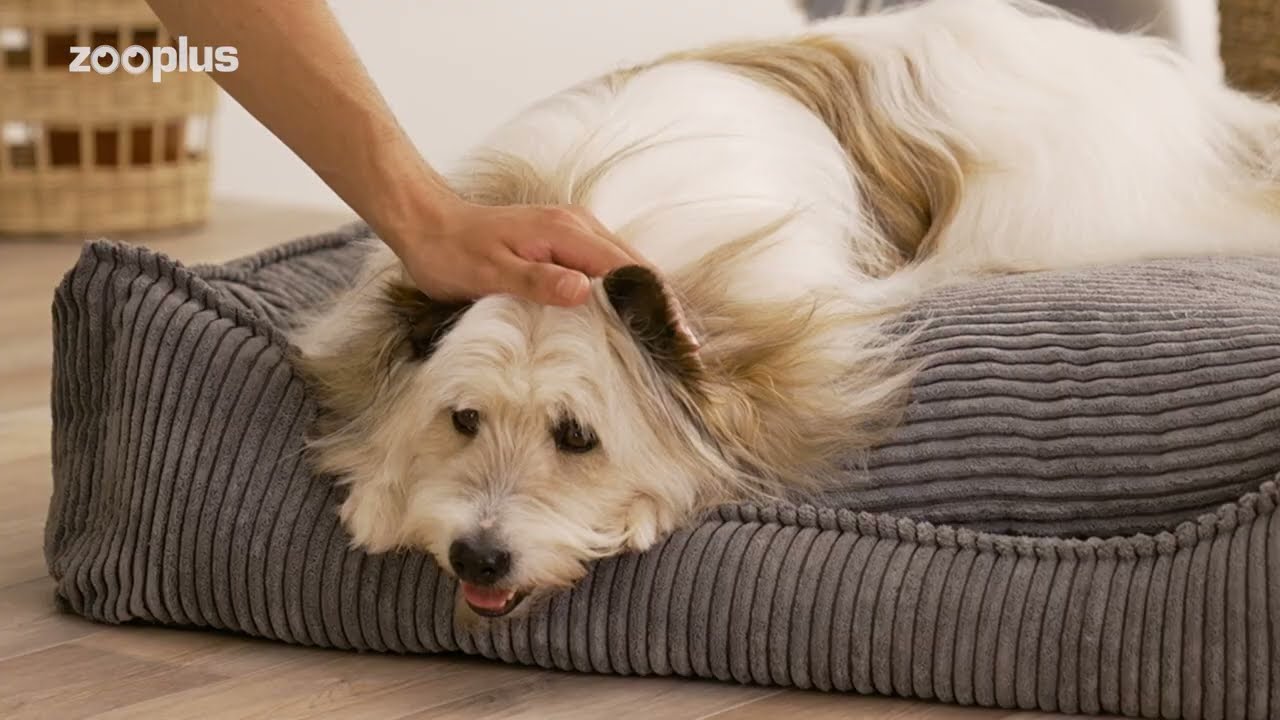 Modern Living Hundebett Helena