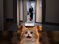 How did you find the ending? 😂🔥💯#funny #cat#trending
