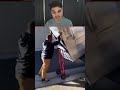 اعمل بدذكاء ولا تعلم بحهل اعمل بدذكاء ولا تعلم بحهل