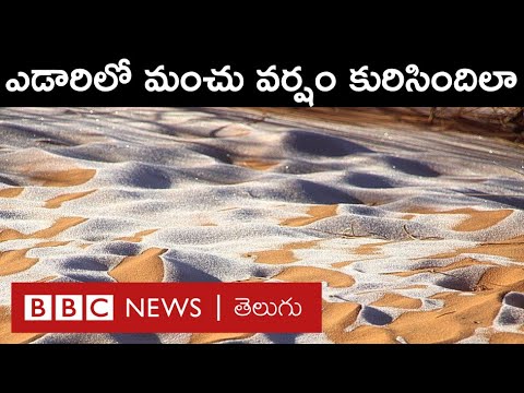 Snowfall in Sahara Desert: సహారా ఎడారిలో మంచు వర్షం కురవడానికి కారణాలు ఏంటి? | BBC Telugu