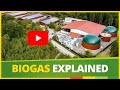 Anaerobic Digestion Explained: Is Biogas a clean and sustainable solution?