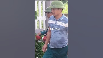 Máy cắt hàng rào chạy xăng kamatsu cắt chè,cắt tỉa cành cây, tán lá sân vườn, sân golf resort,