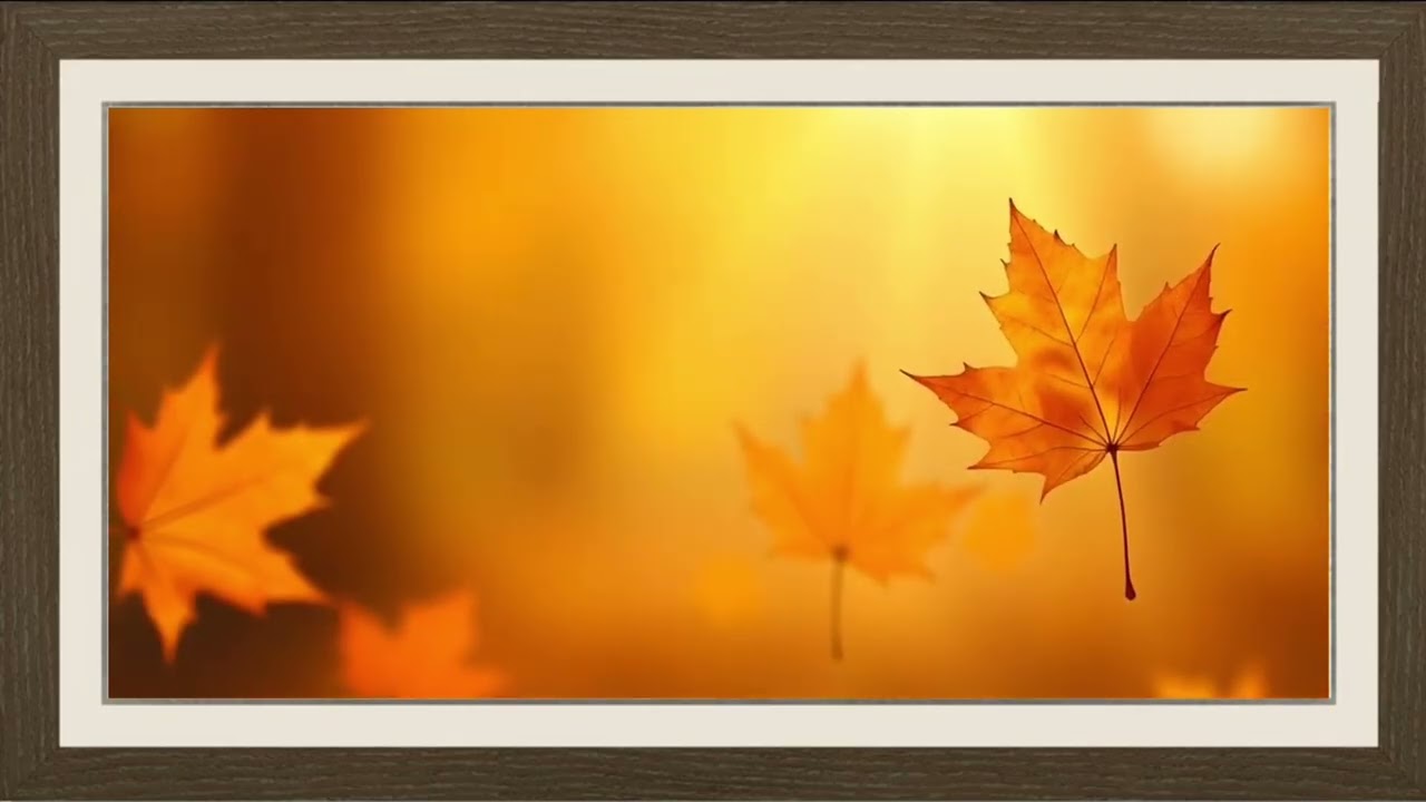 Fall Leaves | TV Art | Framed Art Screens | No Sound | One Hour | Holiday Backgrounds