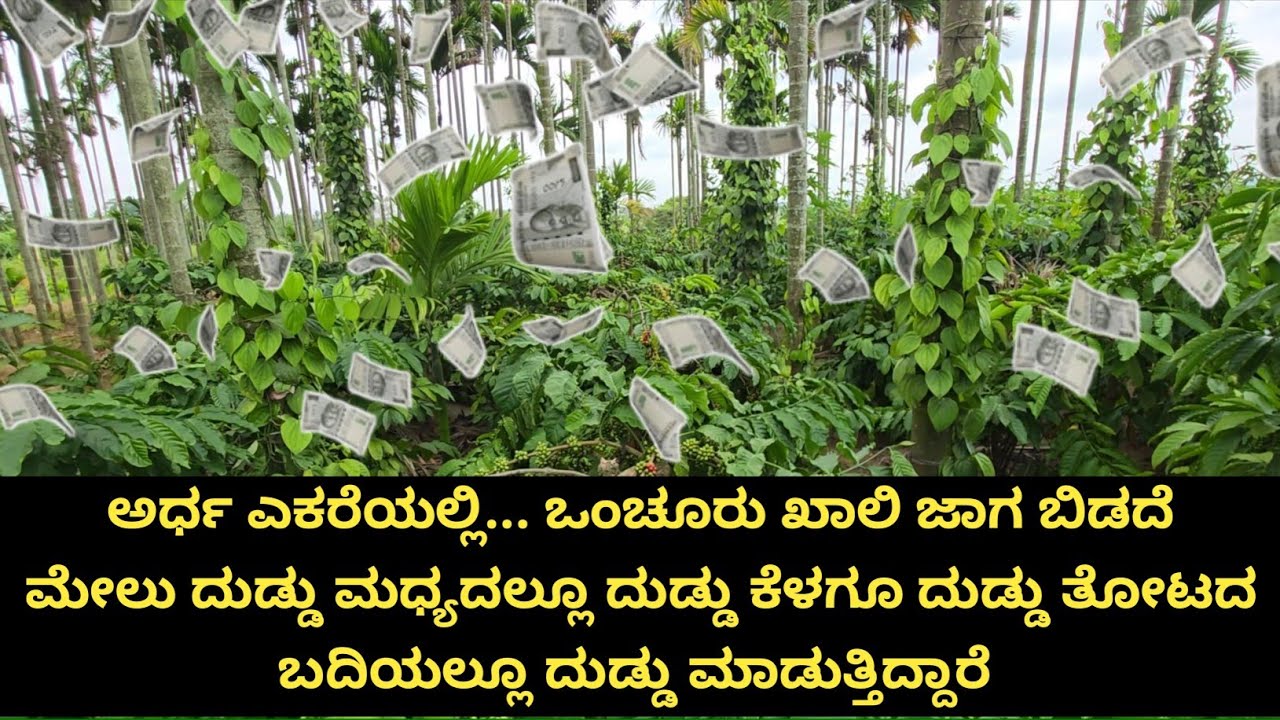 ಅರ್ಧ ಎಕರೆಯಲ್ಲಿ ಇಷ್ಟು ದುಡ್ಡು ಮಾಡುತ್ತಿದ್ದಾರೆ... ಆದರೆ ಈ ದುಡ್ಡು ಮಾಡುವ ಹಂತಕ್ಕೆ ಬರುವಷ್ಟರಲ್ಲಿ ಎಷ್ಟೆಲ್ಲಾ...